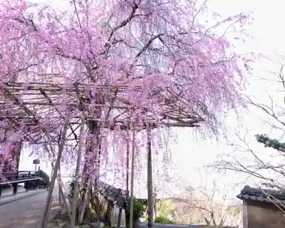 善峯寺奥之院　薬師堂(京都府)