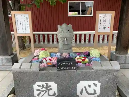 新川皇大神社の手水舎