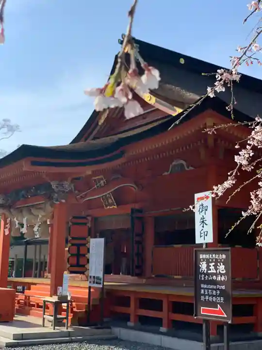 富士山本宮浅間大社の本殿・本堂