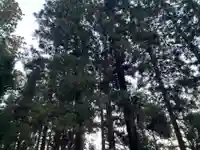 大宮温泉神社(栃木県)