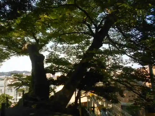 六代山不動院の自然