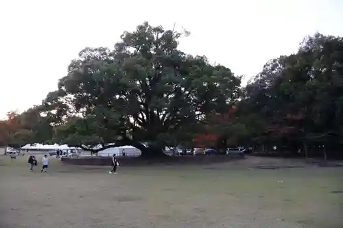 春日大社(奈良県)