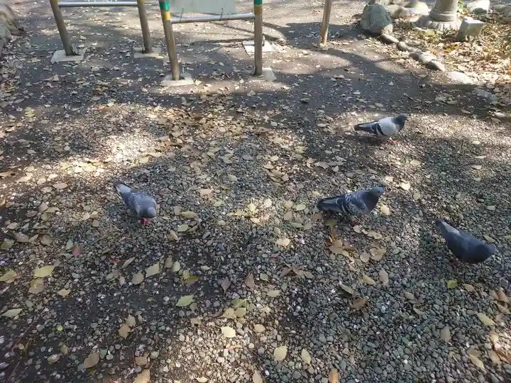 鶴嶺八幡宮(神奈川県)