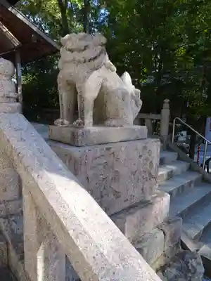 飯盛神社の狛犬