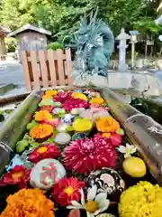 立志神社の手水