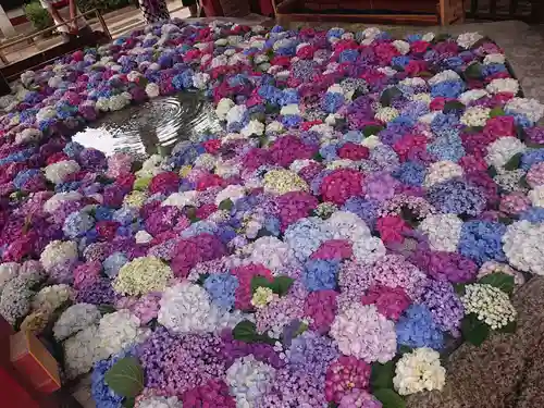 太宰府天満宮の手水舎