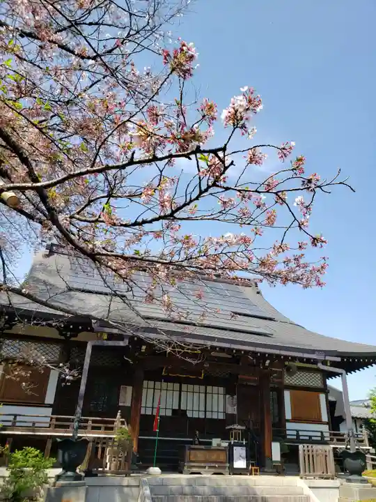 福蔵院(東京都)