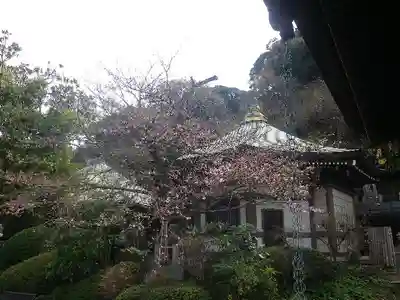 長勝寺のその他建物