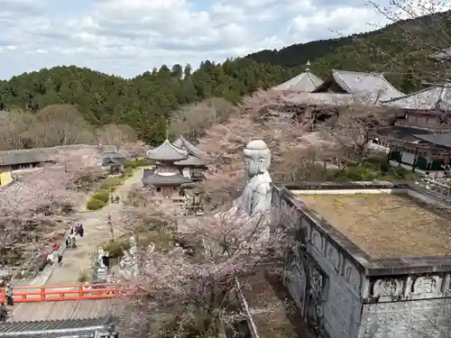 南法華寺（壷阪寺）(奈良県)