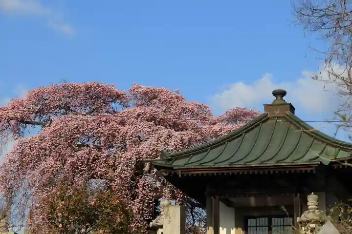 日輪寺のその他建物