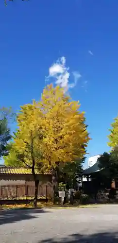 高木神社(東京都)