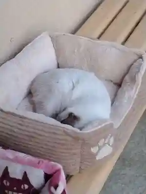 大楽院(神奈川県)