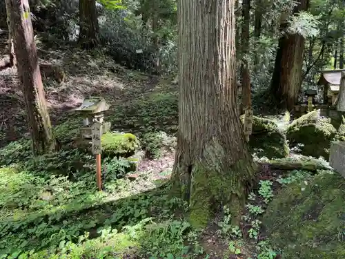 塩野神社(長野県)