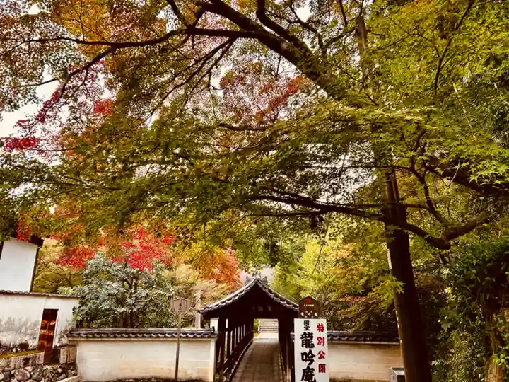 東福禅寺(東福寺)(京都府)