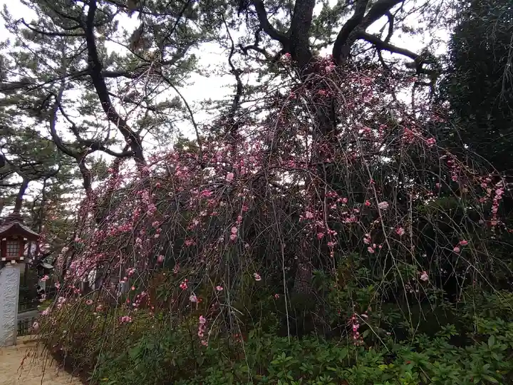 稲毛浅間神社(千葉県)