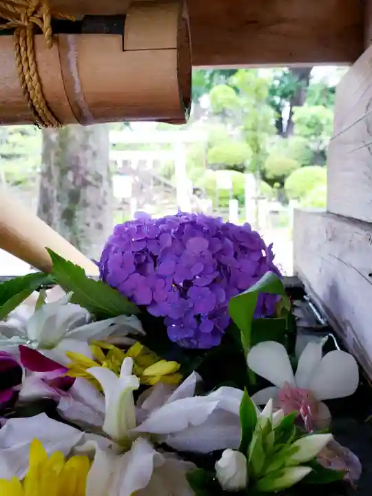 鳩森八幡神社の手水舎