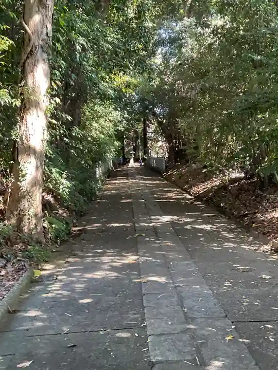和伎坐天乃夫岐売神社(京都府)