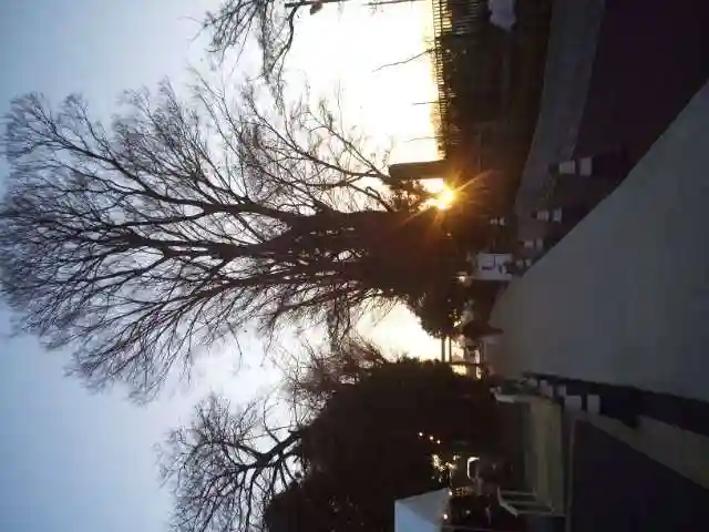 天照大神(神奈川県)