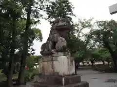 富士山本宮浅間大社の狛犬