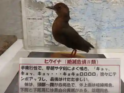野木神社(栃木県)