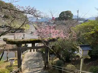 武雄神社(佐賀県)