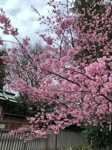 櫻木神社の自然
