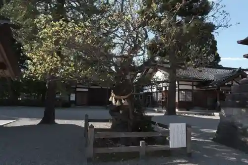 射水神社(富山県)