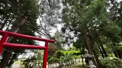 東山八大龍神(北海道)