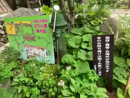 妙雲寺(栃木県)