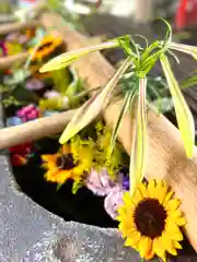 眞田神社の手水