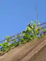 石内のお大師さん 金剛院(広島県)