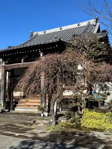 清林寺(東京都)