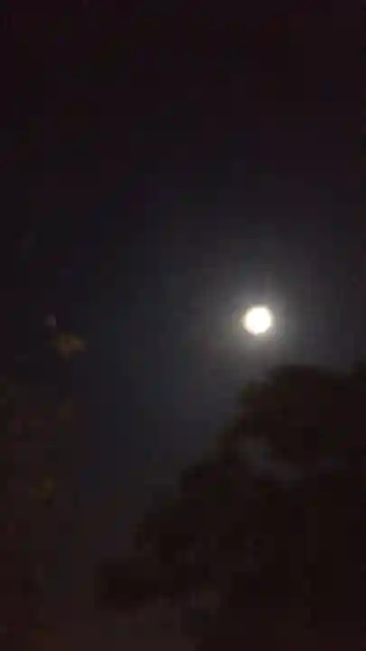 豊武神社の景色