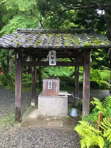 今熊野観音寺(京都府)