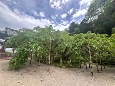 當麻寺奥院(奈良県)