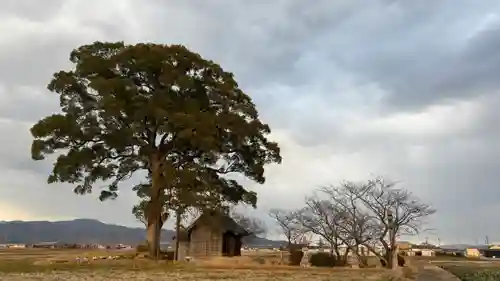 三社宮(徳島県)