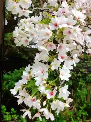 福蔵院(東京都)