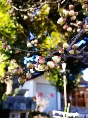 新井天神北野神社(東京都)