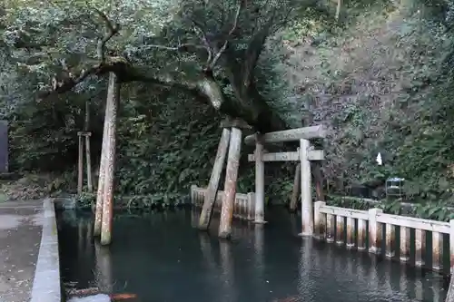 鹿島神宮のその他建物