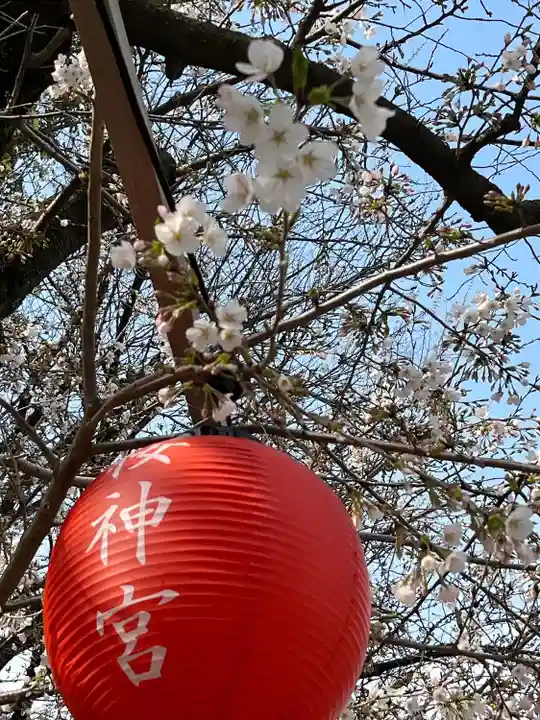 桜神宮(東京都)