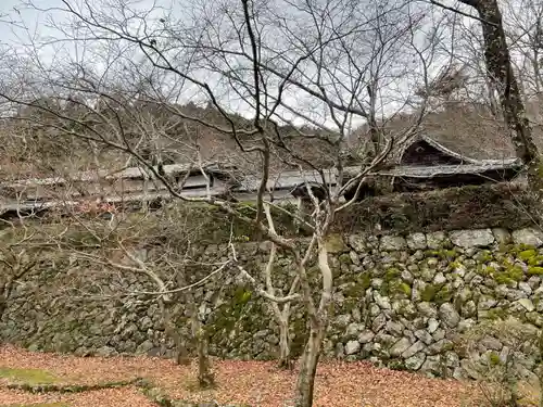 勝持寺（花の寺）(京都府)