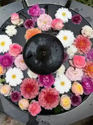 神楽坂安養寺(東京都)