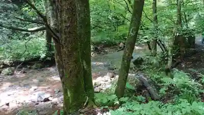 達沢不動滝の周辺