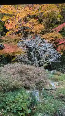 寂光院(京都府)