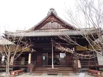 勝林寺の本殿・本堂