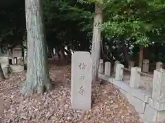 大岡白山神社の建物その他