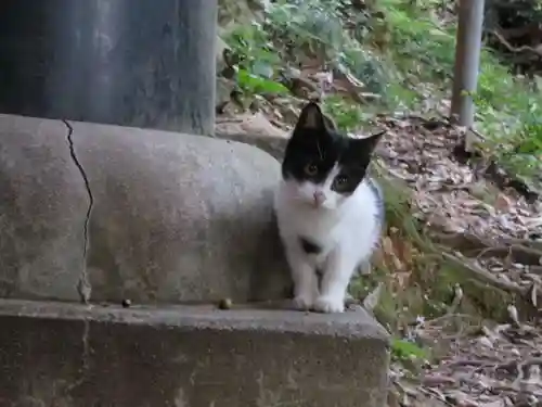 伏見稲荷大社(京都府)