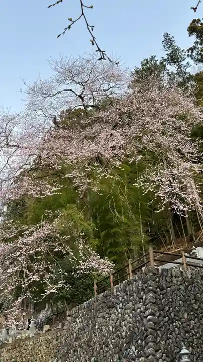 大渕寺(埼玉県)