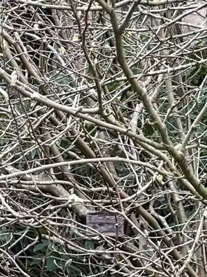 播州清水寺(兵庫県)