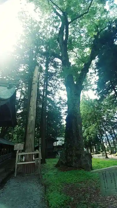 諏訪大社(長野県)